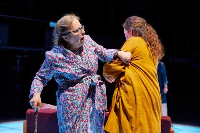 Amanda Boxer and Olivia Colman in 'Mosquitoes'