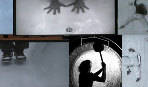 shechter gormley survivor