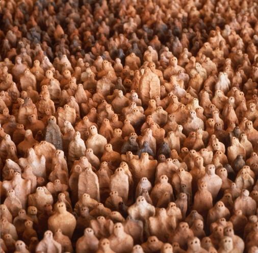 Antony Gormley's 'Amazonian Field' (1992)