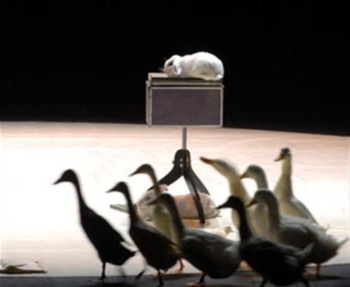 Some of the stars of 'Le Cirque Invisible': locking down children and adults in two hours of rapture 