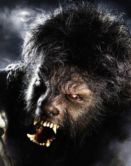 Return of the hairy cornflake: somewhere in there is Benicio Del Toro, star of The Wolfman